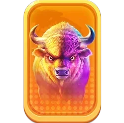 Buffalo
King